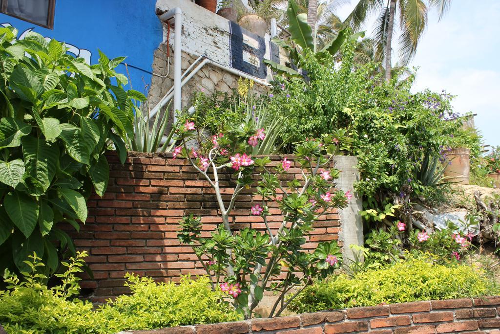 Hotel Buena Vista Puerto Escondido  Exterior photo